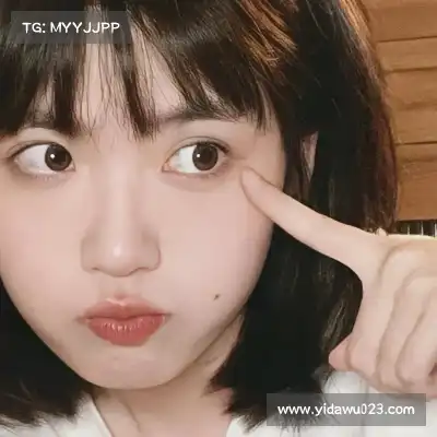陆冶书